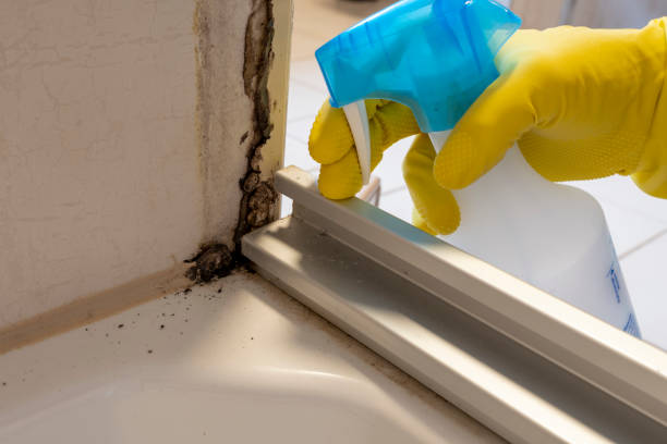 Best Crawl Space Mold Removal  in Serenada, TX