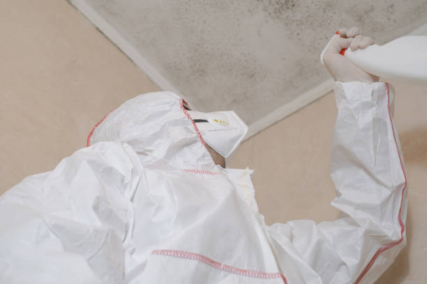Best Local Mold Removal Service  in Serenada, TX