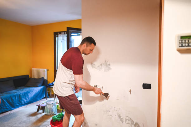 Professional Mold Removal in Serenada, TX